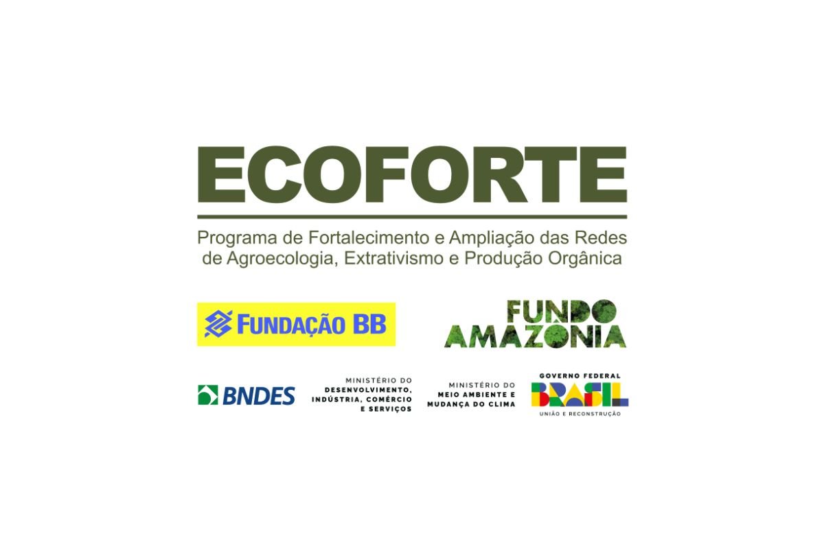 BNDES - Imagem - Ecoforte - FBB - Divulgação