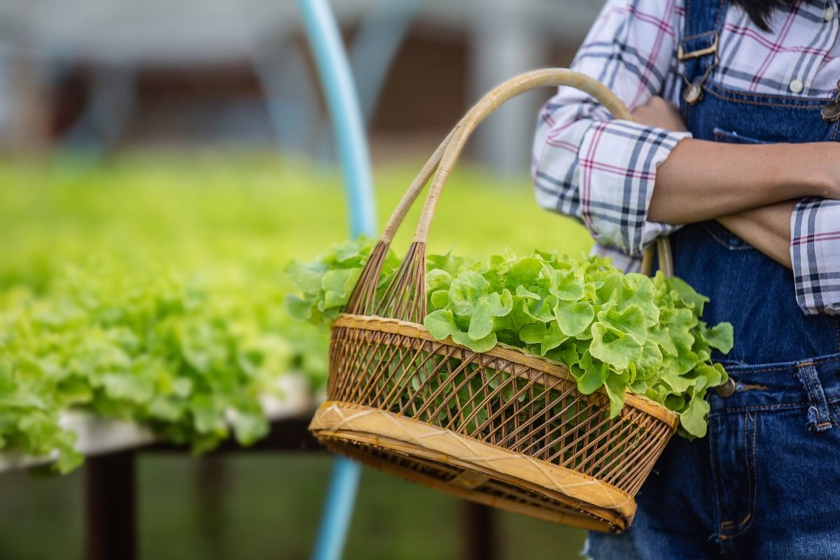 Exportações agrícola no Brasil - Foto Divulgação