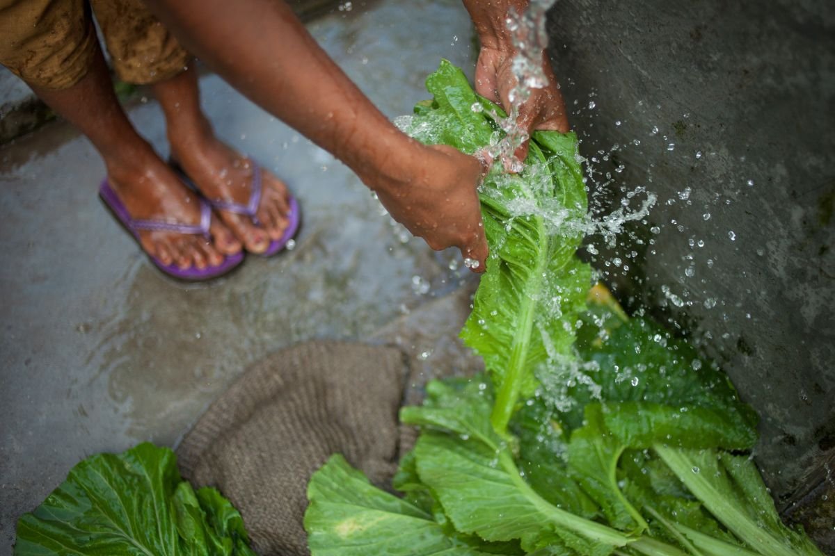 Falta - Foto - ShikharBhattarai - Getty Images - Canva