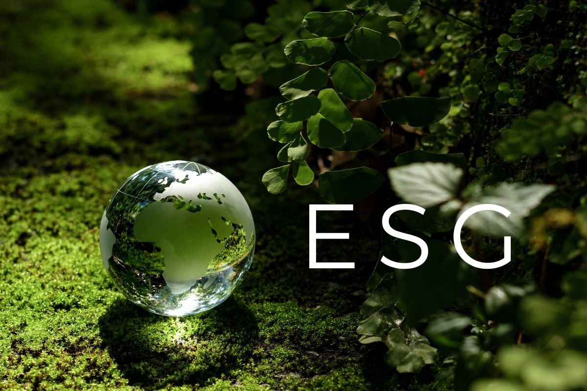 ESG - Foto Wanan - Divulgação - Canva
