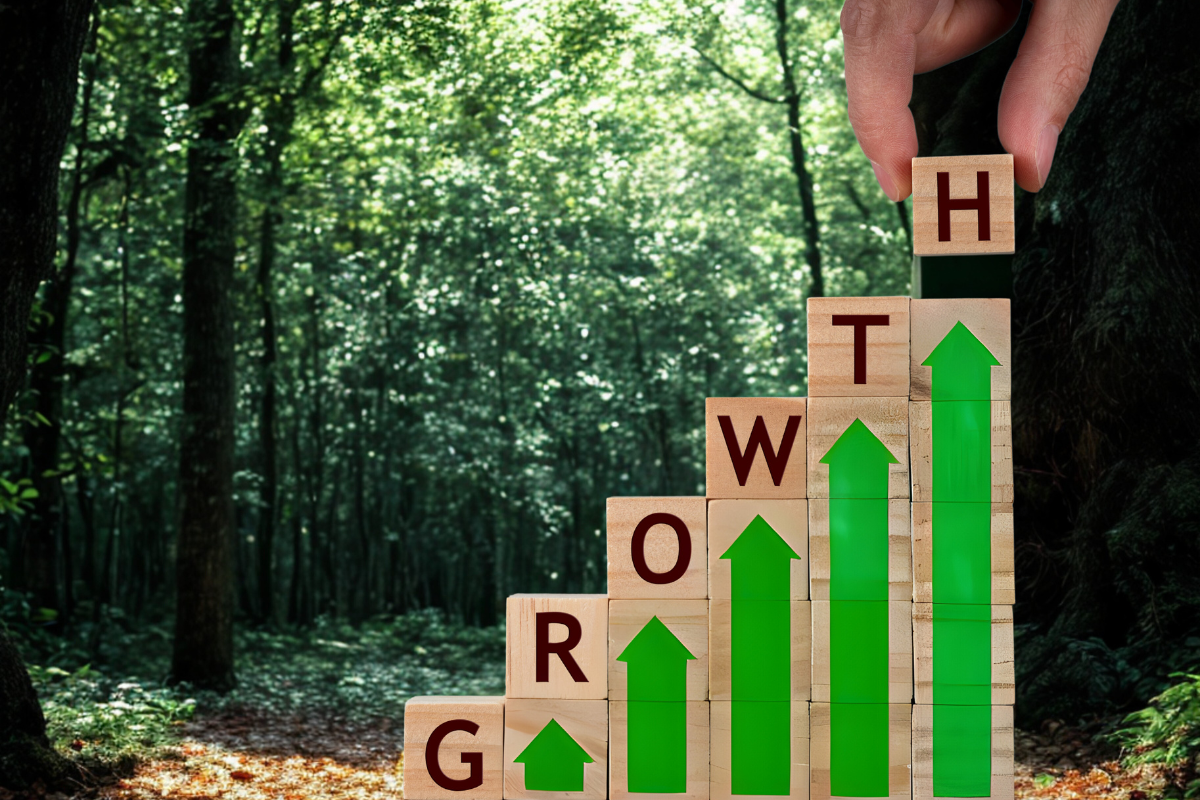 Marketing Growth-Foto-fekenadasi-Getty Images-Divulgação-Canva
