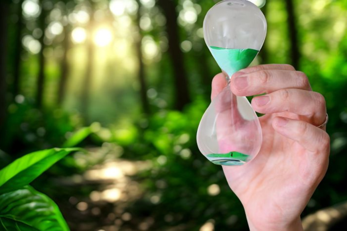 Profissional de Desenvolvimento Sustentável-Foto_BeEasy-Divulgação-Canva