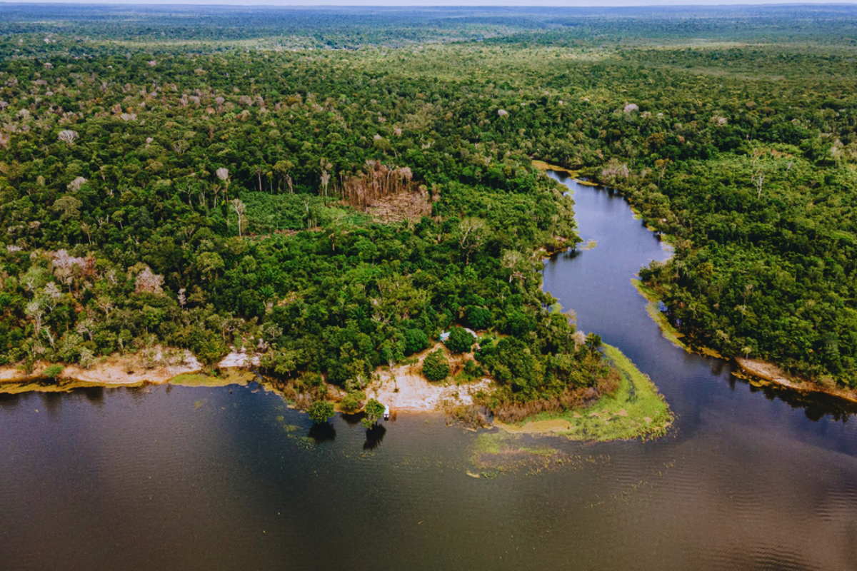 Turismo Regenerativo - Foto - Aura Amazônia