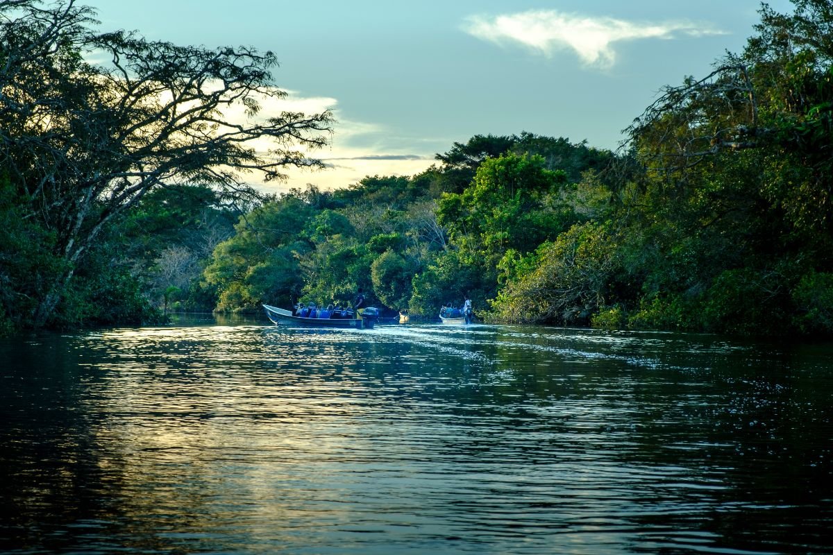 Amazônia-Foto-WillSeaborn-GettyImages-Canva